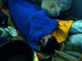 dormeuse-bleue