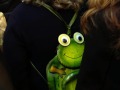 grenouille